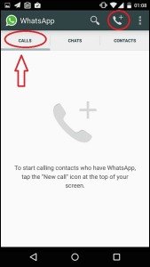 Enable WhatsApp Calling Feature On iPhone - 3