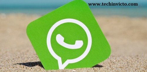 WhatsApp 2.17.117 APK beta update - 1