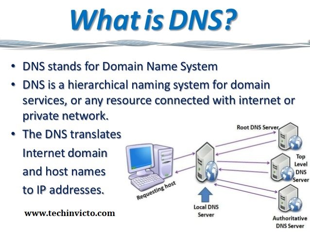 Domain name system презентация